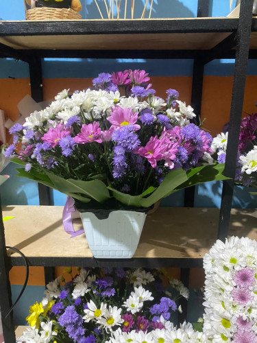 Toko Bunga Terbesar King Florist universitaspgripalangkaraya – Pilihan Utama Florist Profesional di 